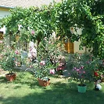 8513 - Rozsi Vendeghaz * Mihalyhaza