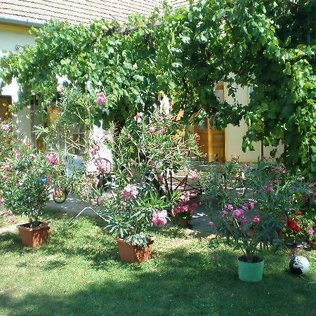 8513 - Rozsi Vendeghaz * Mihalyhaza